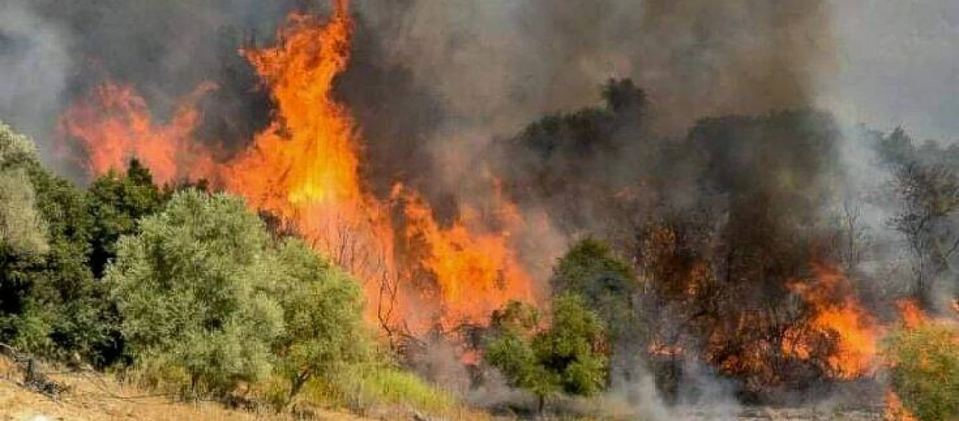 Φωτιά στη Καστανιά της ανατολικής Μάνης - Δόθηκε εντολή προληπτικής εκκένωσης οικισμού